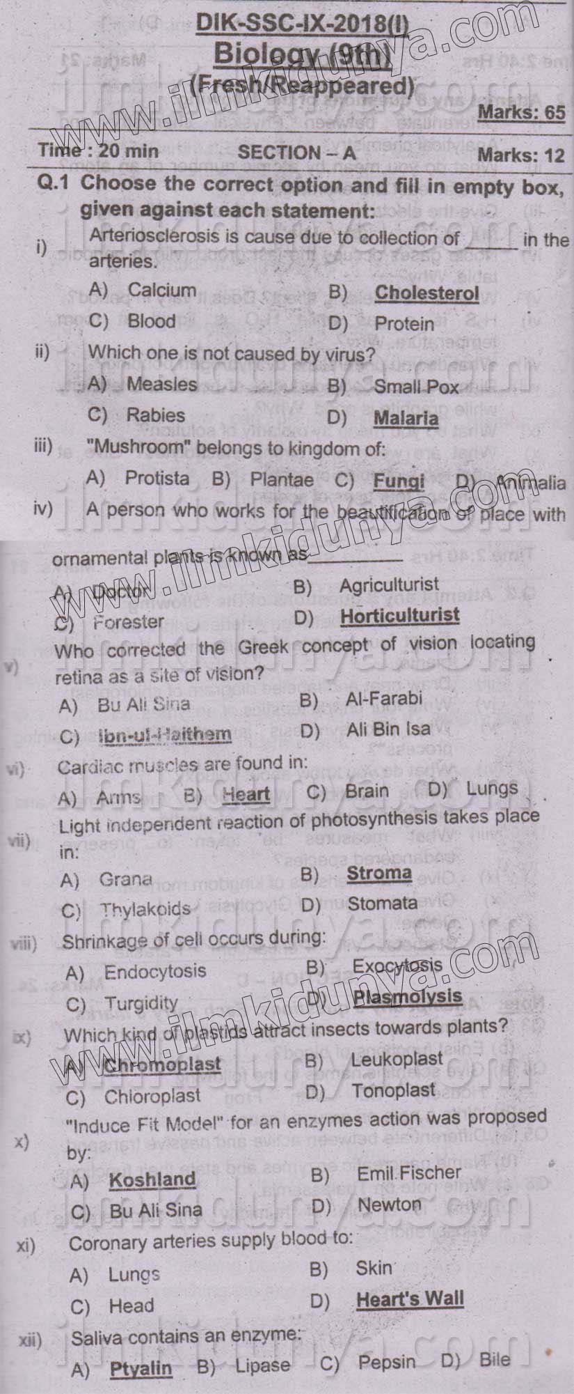 Paper Image